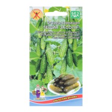 Seeds of the cucumber 