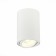 Ceiling lamp ST LUCE. ST108.507.01. 1x50 W, GU10, 7x7x10 cm, white color