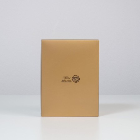 Gift folding box, packaging, "with love", 20 x 15 x 10 cm-4