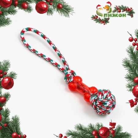 Cable toy with a bone, up to 150 g, up to 40 cm, red-white-green