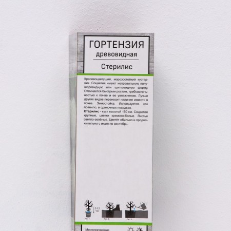 Dining Tree "sterilis", 1 pc, tube, spring 2025-1