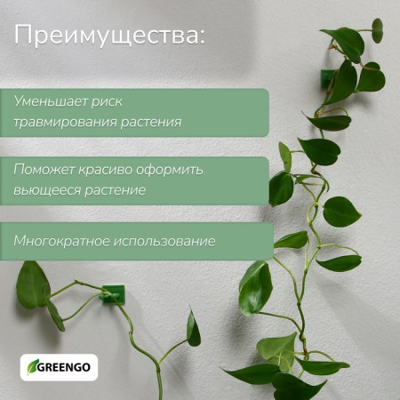 Fasteners for climbing plants, d = 9 mm, color mix, Greengo-1