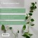 Fasteners for climbing plants, d = 9 mm, color mix, Greengo