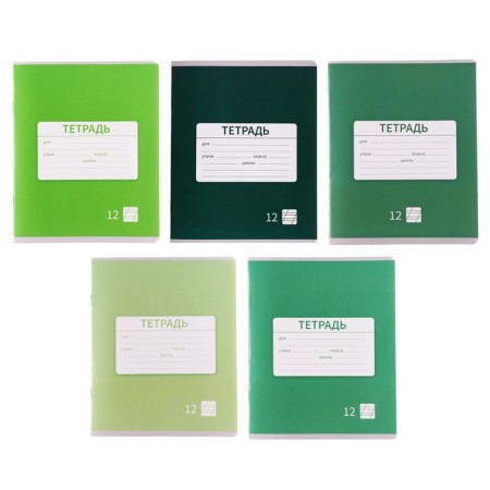 Notebook 12 sheets in the slanting line is a plain "New School", cover coated paper, VD-LK, OFSET block, MIX