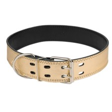 Collar leather two-layer, width 4.5 cm, Osh 53-63 cm, gold