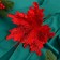 Decor "Winter Flower" Patterns, 24x15 cm, red