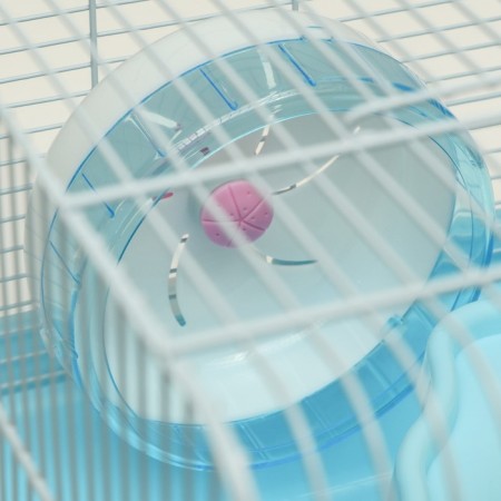 A cage for rodents "Pigzon", equipped with a lock, 37 x 27 x 30 cm, blue-5