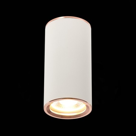 Ceiling lamp ST LUCE. ST111.527.01. 1x50 W, GU10, 5.4x5.4x10.5 cm, white color-1