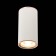 Ceiling lamp ST LUCE. ST111.527.01. 1x50 W, GU10, 5.4x5.4x10.5 cm, white color