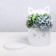 Hat gift for flowers with add. element, packaging, “White Cat”, 22 x 22 cm