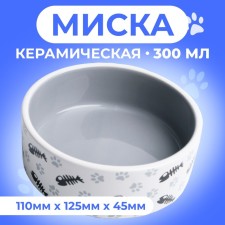 Ceramic 