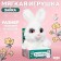 Soft toy "Bunny", white color