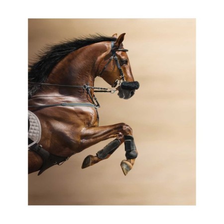 A set of napkins for setting the table "Bold horse", rectangular, size 32x46 cm, 4 pcs-2