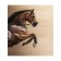 A set of napkins for setting the table "Bold horse", rectangular, size 32x46 cm, 4 pcs