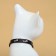 Fly collar "fish" luminous, with a bell and suspension, 30 x 1 cm, polyester, black