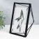 Photo frame Metal in 1 photo 10x15 cm "Loft. 3D Line" Black 20x15x6 cm
