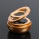 Assessoir on a panel with a flavor, gravitational rings, rotates from the sun, planet, gold