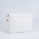 Bag-clate on the magnet, strap on the wrist, white color