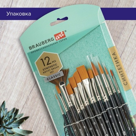 System of Synthetics 12 pieces, Brauberg Art Classic-21