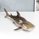 Souvenir Polystone Light "Shark" 14x20.5x45 cm