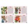 Training cards. Trees 210109