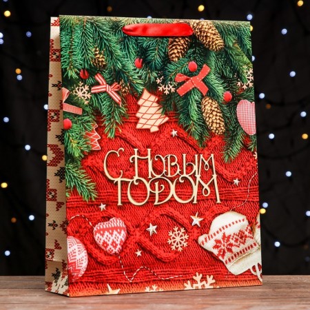 Laminated vertical "Knock" package, 33 x 42 x 10 cm-2