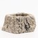 Terrarium feeder, 5 x 4 x 3 cm
