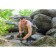 Folding shovel "Huntsman" 4V1 in a case, 41 cm, olive