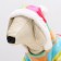 Combineson "Rainbow" with a hood, size M (DS 30 cm, og 40 cm, osh 30 cm)