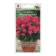 Georgin's flowers "Mignon Rose", 0.2 g
