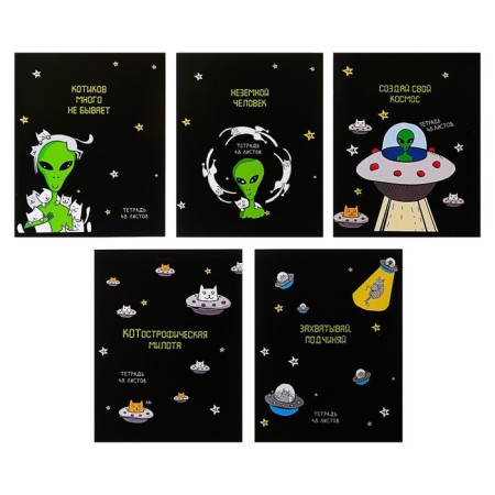 A notebook of 48 sheets in the Calligrata "UFO" cage, the cover coated cardboard, an offset unit, mix