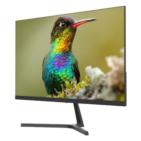 Монитор SANC M2453, 23.8", IPS, 1920×1080, 75Гц, 5 мс, D-Sub, HDMI, чёрный-1