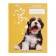 Diary for a music school, 48 sheets, hard cover, matte lamination, foil embossing, reference information, block 60g/m2