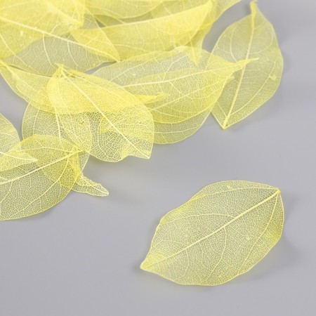 Leaves skeletered for creativity "yellow" set 20 pcs h = 6-6.5 cm