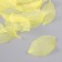 Leaves skeletered for creativity "yellow" set 20 pcs h = 6-6.5 cm
