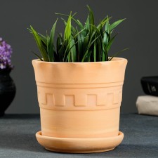 Flower pot 