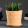 Flower pot "Antik" 2 l