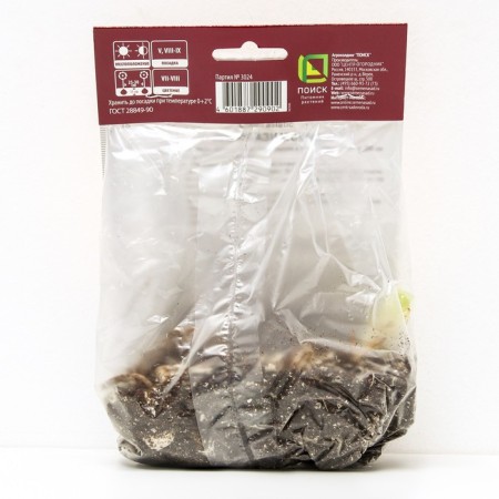 Lilia Asian terry Skubidu, 14/16 rr, 2 pcs. 90 h (cm), autumn 2024-1