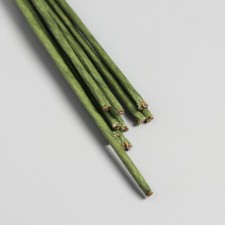 Set of wire for creativity D-2 mm, 60 cm, 10 pcs, green