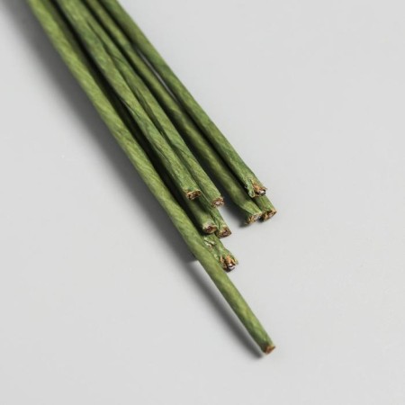 Set of wire for creativity D-2 mm, 60 cm, 10 pcs, green