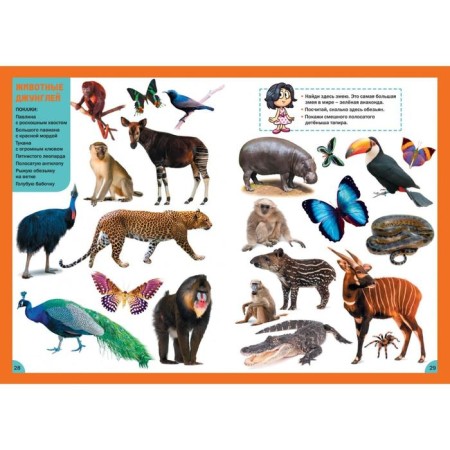 Animals. For children from 3 to 6 years old-4