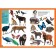 Animals. For children from 3 to 6 years old