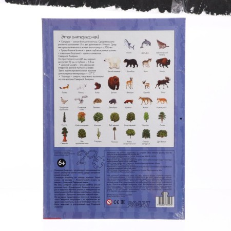 Developing puzzle "North America"-1