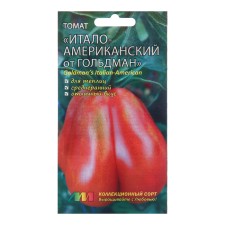 Seed Tomat 