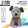 Training cards with a soft toy "Dog", color mix