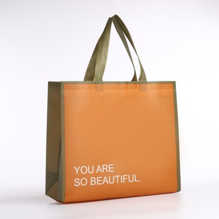 Bag without fasteners, brown color