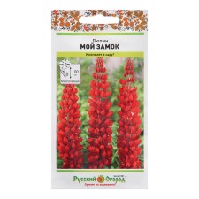 Flowers of Lupine 