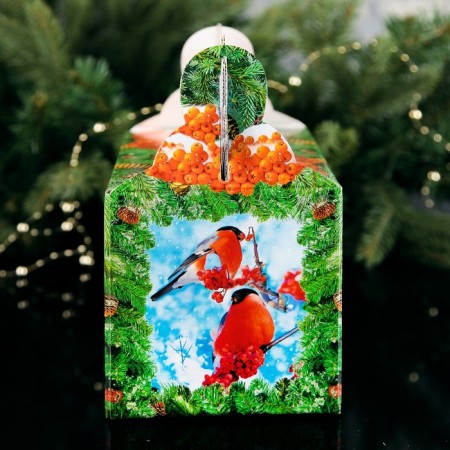 Gift Box "Bullfiery feeder", with a window, 20.5 x 12.3 x 22 cm-2