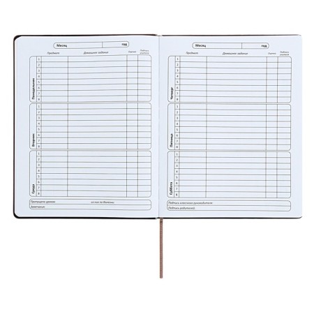 Universal diary for grades 1-11 "Geometry", solid cover of artificial leather, silkography, lies, 48 ​​sheets, brown-turquoise-6