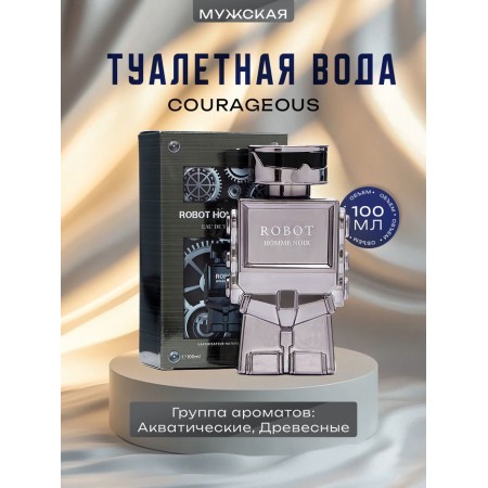 Men's toilet water Courageous, 100 ml